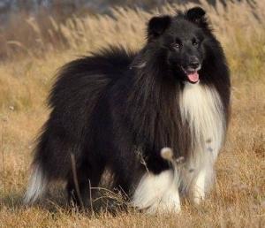 Piece of My Heart Veramente