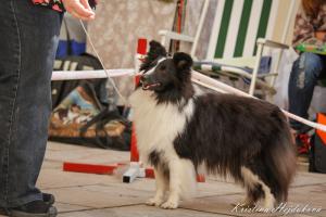 First Lady ze Shetlandů