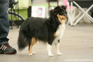 BONNIE Chřibské polesí