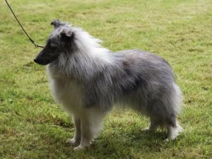 ASHLEY ze Zlaté hvězdy