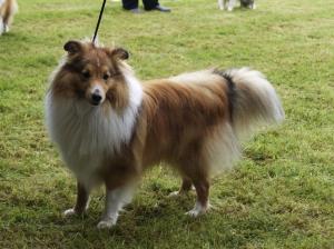 YETTI z Ďáblovy studánky