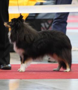 XIMBA Hedvábný sen