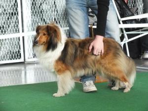 ROSSIE ze Zlaté hvězdy