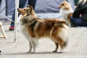 BABOU BESSY z Českého dvora