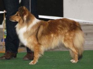 BENNU z Českého dvora