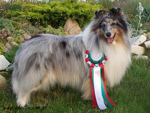 Vanilla Hills No Strings Attached Lovesome