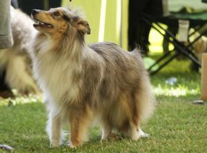 Zena Blau z Vesničky u hranic