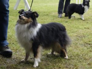 Atlantis Mia Kamenitá stráň