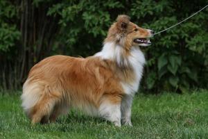 VANITY z Ďáblovy studánky