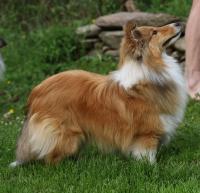 VANITY z Ďáblovy studánky