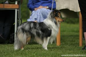 FALCO FOO z Říše fantazie