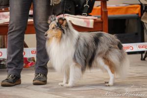 VERON BLAU z Vesničky u hranic