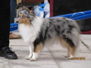 HEIDY z Říše fantazie