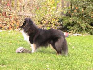 BiZhuteriya iz Tverkoy Skazki