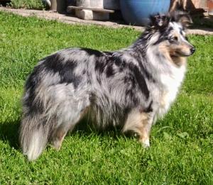 Callie Blue Malá Magura