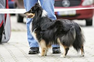 O’NELLY z Heřmanova dvora