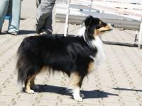 O’NELLY z Heřmanova dvora