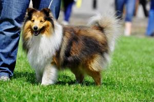 Diego z Otvovické skály