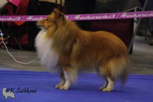 Quashee Operation Chaos