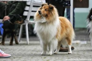 In Flagranti Amoreno