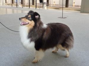 Blue Witch French–Kiss