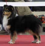 Unita Black Moravia Classic