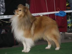 Lundecock’s Noll Koll Kokosboll