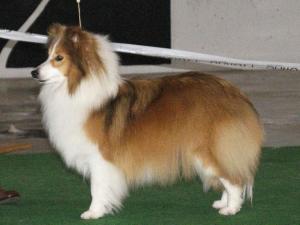 Quashee Victoria Secret