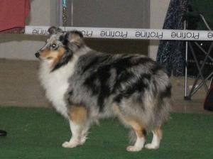 Mellsjohogda’s Just Irresitible