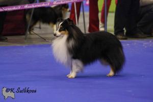 Something Special Flyland