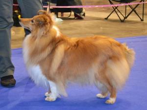 Fleurette iz Grafskogo Pomestija