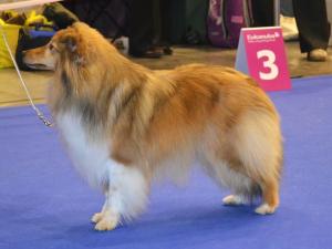 Marmelade Marvitholl