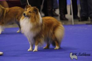 Danae Divida Figa Ruminy