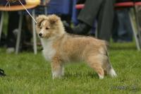 CHARLY Manepo Ideál