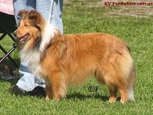 Jade Mist Just In Time