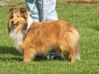 Jade Mist Just In Time