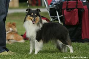 IZZIE Stříbrné doly