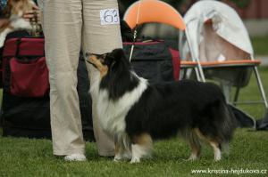 GREIS od Kamenité říčky