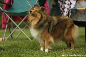 GUANTANAMERA Amoreno