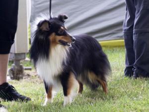 BALŮ z Gröbovské vinice