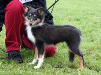 BALŮ z Gröbovské vinice