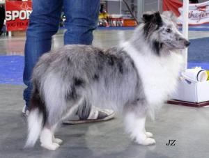 LAURA ze Zlaté hvězdy