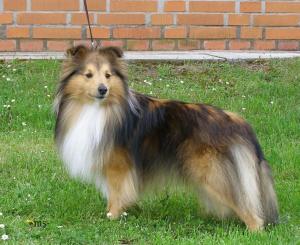 PIRATE z Ďáblovy studánky