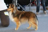 PIRATE z Ďáblovy studánky