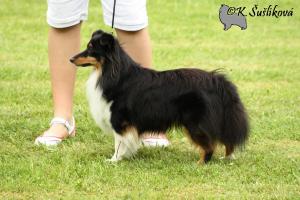 ZUZANKA ze Zlaté hvězdy