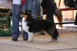 DOUBRAVKA Moravské srdce