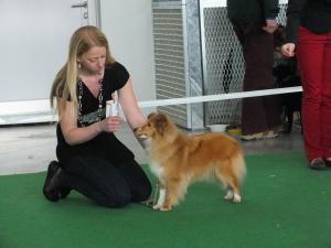 Caramell Grace von der Aistt