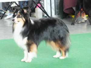 Tycancy Creme dela Creme