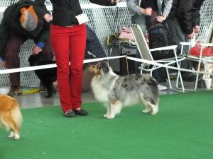 Bordeline Country Graffiti