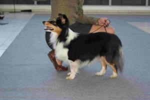 ORIGAMI z Ďáblovy studánky